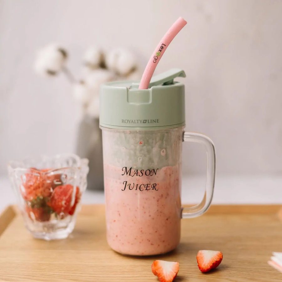 Professional Mini Juicer