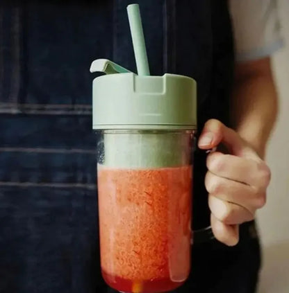 Professional Mini Juicer